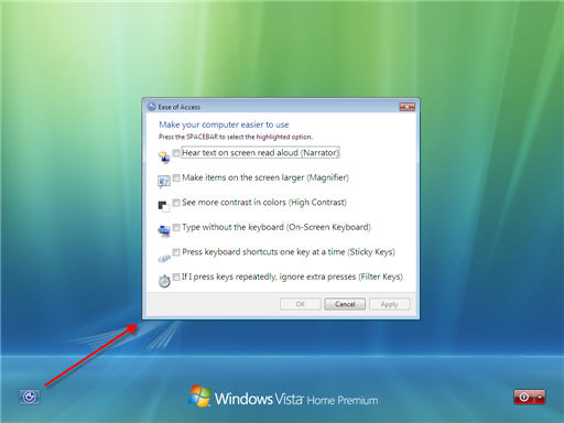 Ease of Access Options