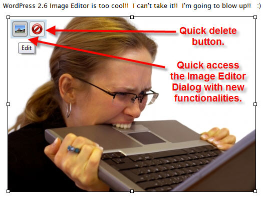 WordPress 2.6 Image Editor WordPress 2.6 Image Editor