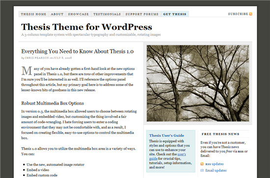 Purchase thesis theme