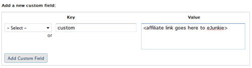 WordPress Custom Field